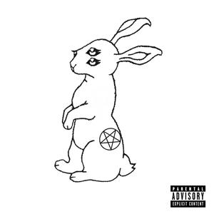 Follow The White Rabbit (Explicit)