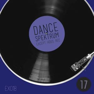 Dance Spektrum - Volume Diciassette