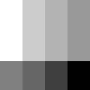 Shades Of Grey