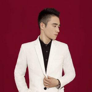 多余的温柔 (改编版原唱: 王峰|DJ版)