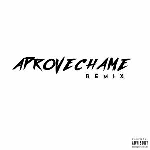 Aprovechame [Remix]