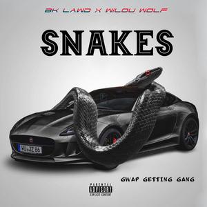 Snakes (feat. Wilou Wolf) [Explicit]