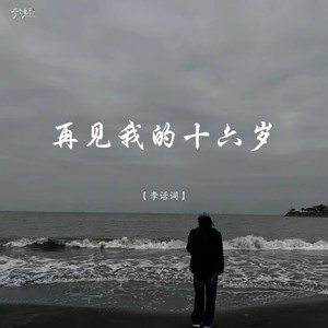 再见我的十六岁