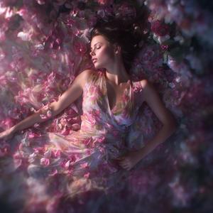 Fleeting Summer Romance (Special Version)