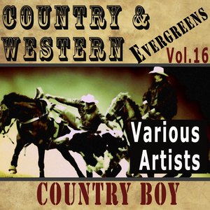 Country & Western Evergreens, Vol.16