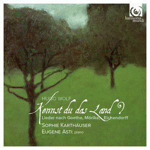 Disc 1 - Goethe-Lieder: No. 9, Mignon: Kennst du das Land