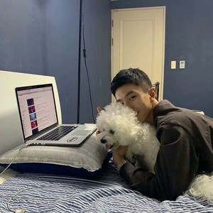 起风了