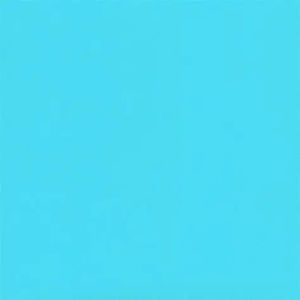 nature song (Instrumental)