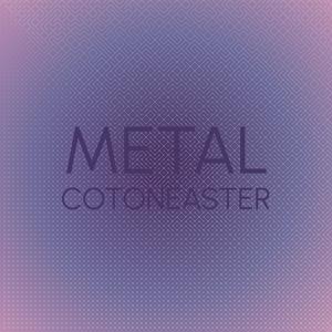 Metal Cotoneaster