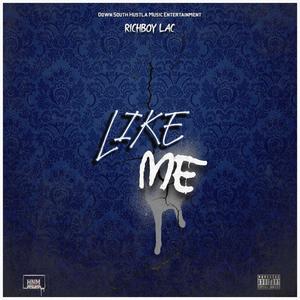 Like Me (Explicit)