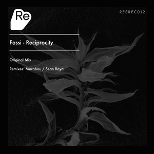 Reciprocity (Sean Raya Remix)