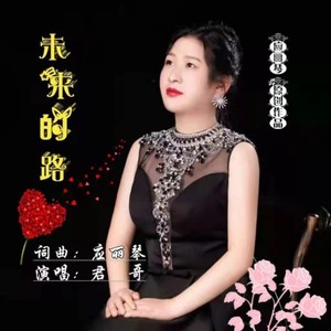 未来的路 (君哥演唱版)