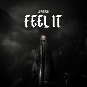 Feel It (Explicit)