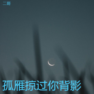 等不到你回眸封面