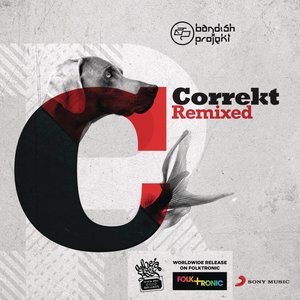 Correkt Remixed