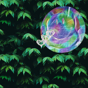 love evol (Explicit)