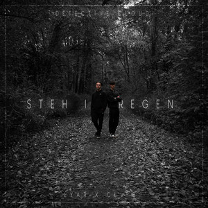Steh Im Regen (Explicit)