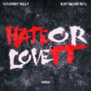 Hate or Love It (Explicit)