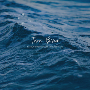 Tere Bina