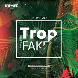 Trop Fake (Explicit)