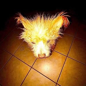 PLAY WITH GLASS(feat. Zodiaque) (Explicit)