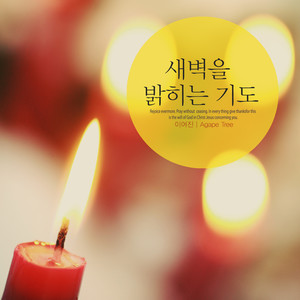 새벽을 밝히는 기도 (A prayer that illuminates the dawn)