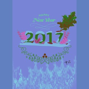 Happy New Year,2017