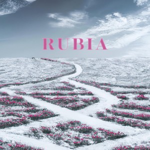 Rubia (feat. Haz Studio, Rukanana & Pandaman7777)