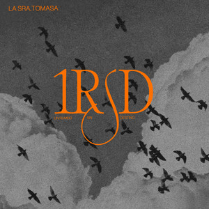 UN RUMBO SIN DESTINO