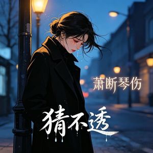 猜不透-轻舟-箫断琴伤