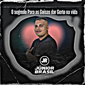 O Segredo Para as Coisas dar Certo na Vida