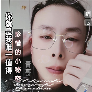 你就是我唯一值得珍惜的小秘密