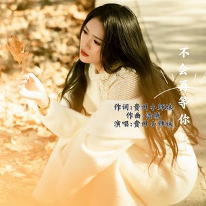 不会再等你 (伴奏)