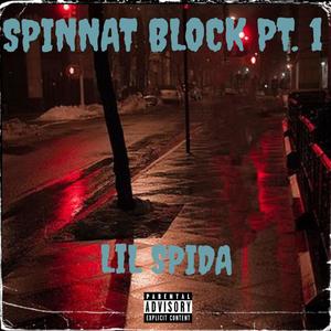 Spinnat Block Pt. 1 (Explicit)