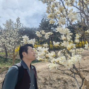 竖琴独奏 当你不在的时候