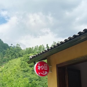 假装