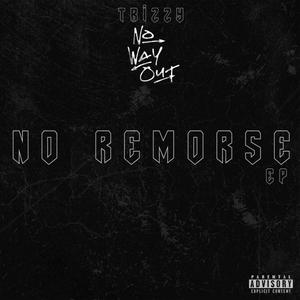 No Remorse (Explicit)