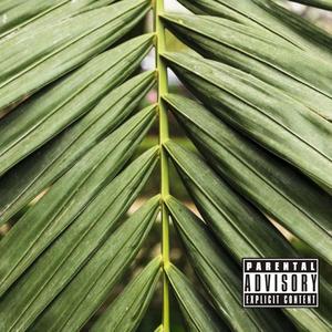 Palm Trees (feat. Bishop One) (Explicit)