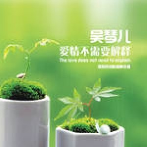 终于等到了你 - 吴琴儿封面