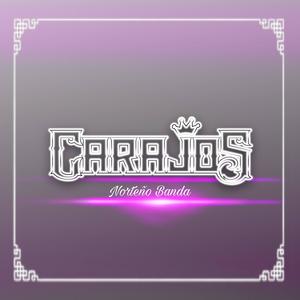 Popurrí Arrolladora (En vivo)