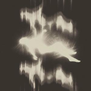 bitte nicht (Explicit)