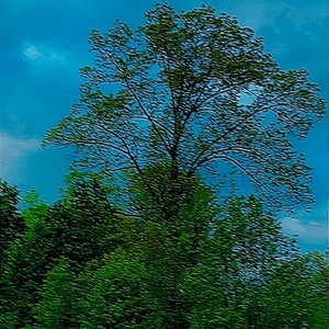 LEVEL UP! (feat. itsHYDN) (Explicit)