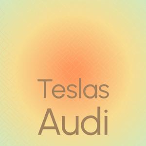 Teslas Audi