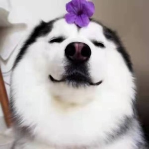 自己