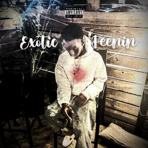 exotic feenin (Explicit)