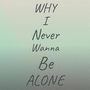 Why I Never Wanna Be Alone