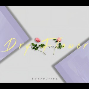 ドライフラワー / 乾燥花 (干燥花)