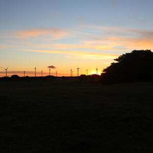 Whathumean (Explicit)