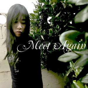 Meet Again