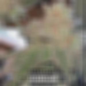 Smoked Out (Explicit)